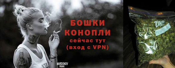 Альфа ПВП Новозыбков