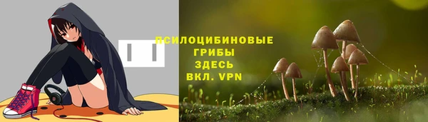 Альфа ПВП Новозыбков