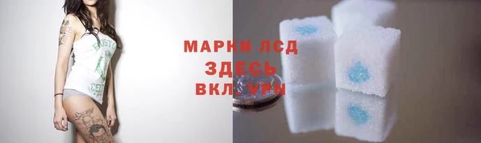 крисы Нея