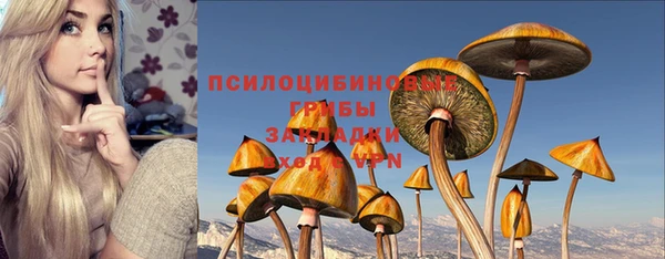 Альфа ПВП Новозыбков