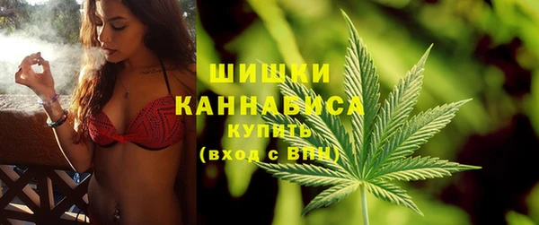 крисы Нея