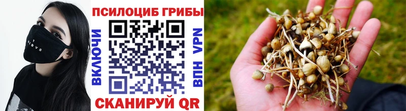 Галлюциногенные грибы мухоморы  Купить  Разумное 