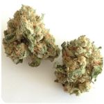 Шишки "White Widow"  (Белая вдова)  Гидропоника -  Бошка VHQ в Разумном